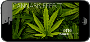 Cannabis Effect