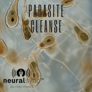 ADVANCED SYSTEM: Universal Parasite Cleanse High-Precision 6-Hour Rife Frequency Protocol
