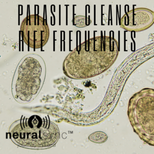 Rife machine frequencies parasite cleanse for gut health